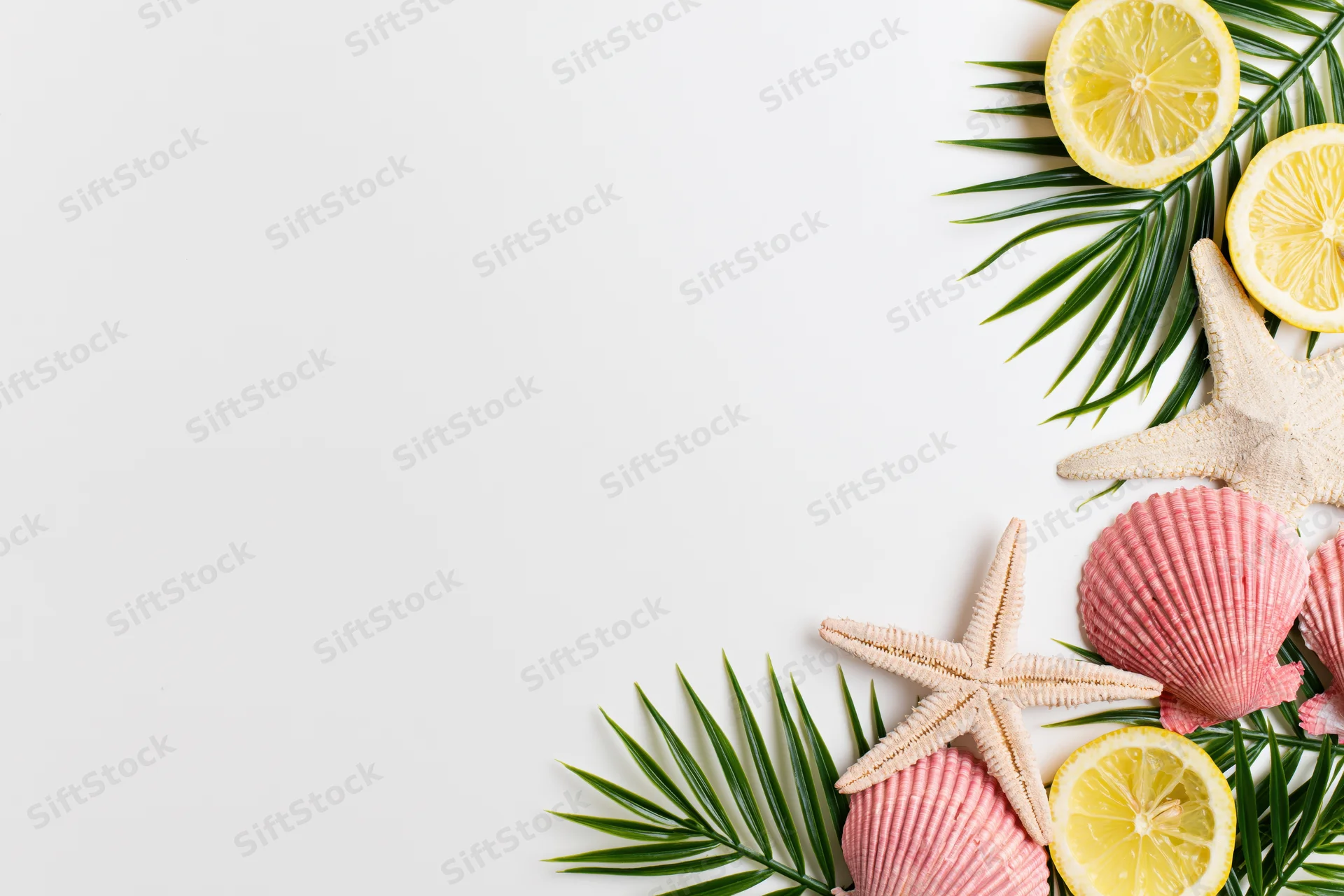 Starfish and pink scallop shells with lemon slices and palm leaves arranged on white surface