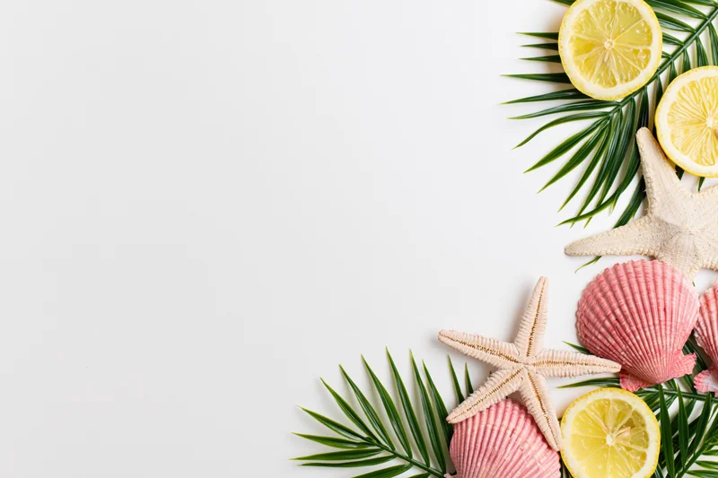 Starfish and pink scallop shells with lemon slices and palm leaves arranged on white surface