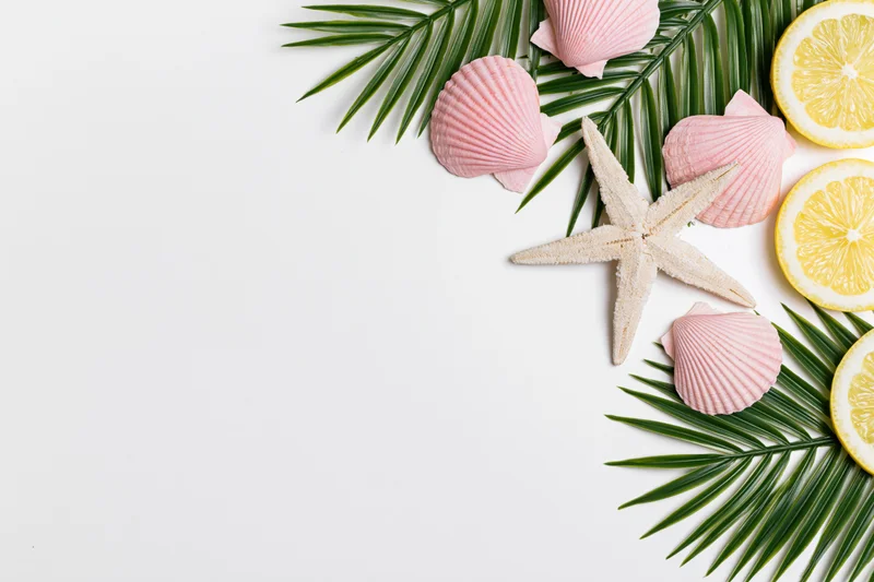 Dried starfish and pink scallop shells arranged with palm leaves and lemon slices on white surface