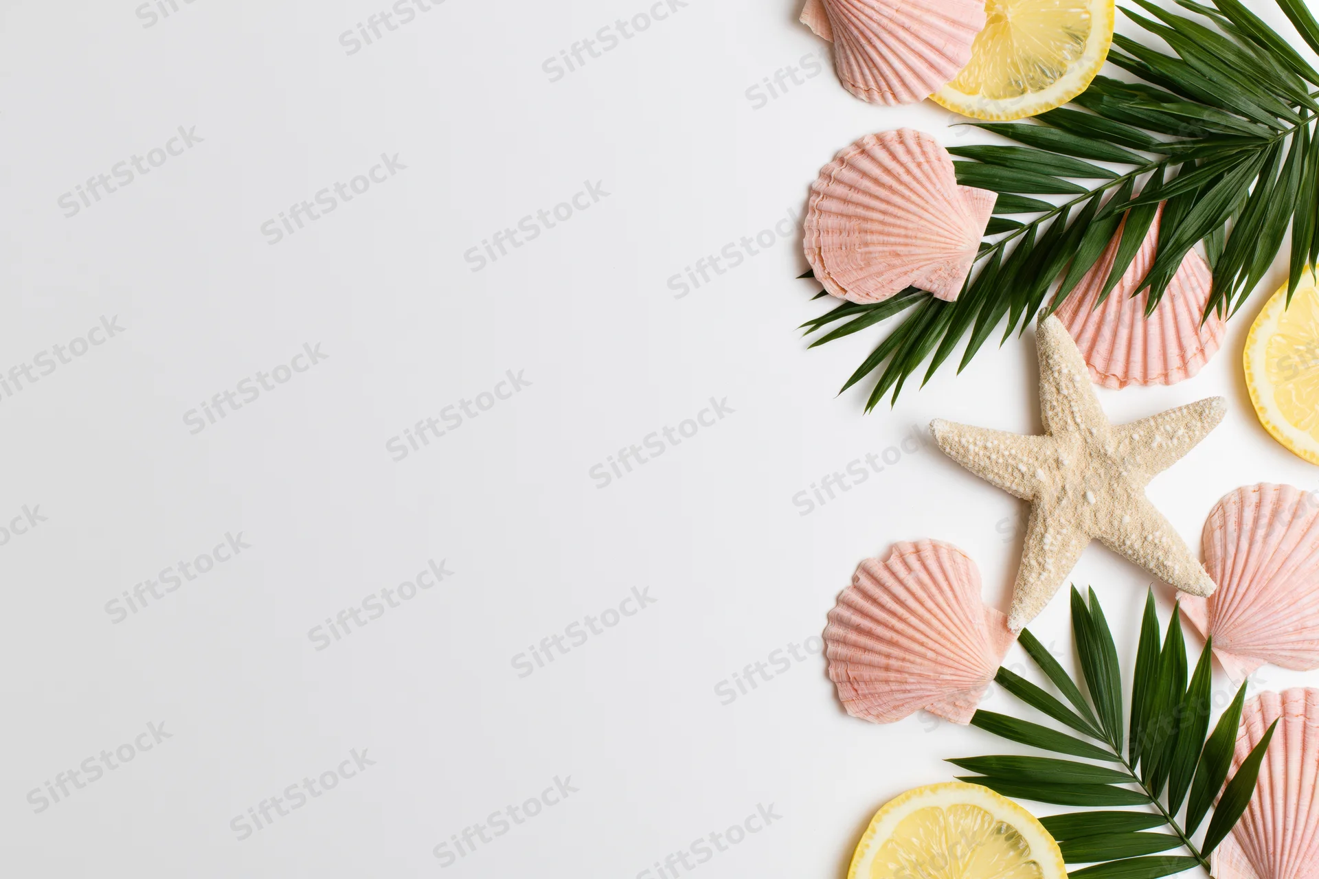 Starfish and pink scallop shells with palm leaves and lemon slices arranged on white surface