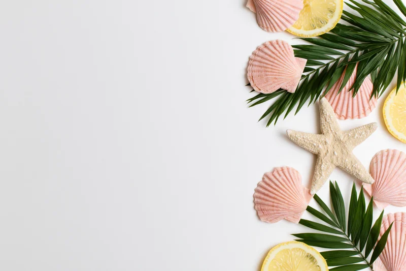 Starfish and pink scallop shells with palm leaves and lemon slices arranged on white surface