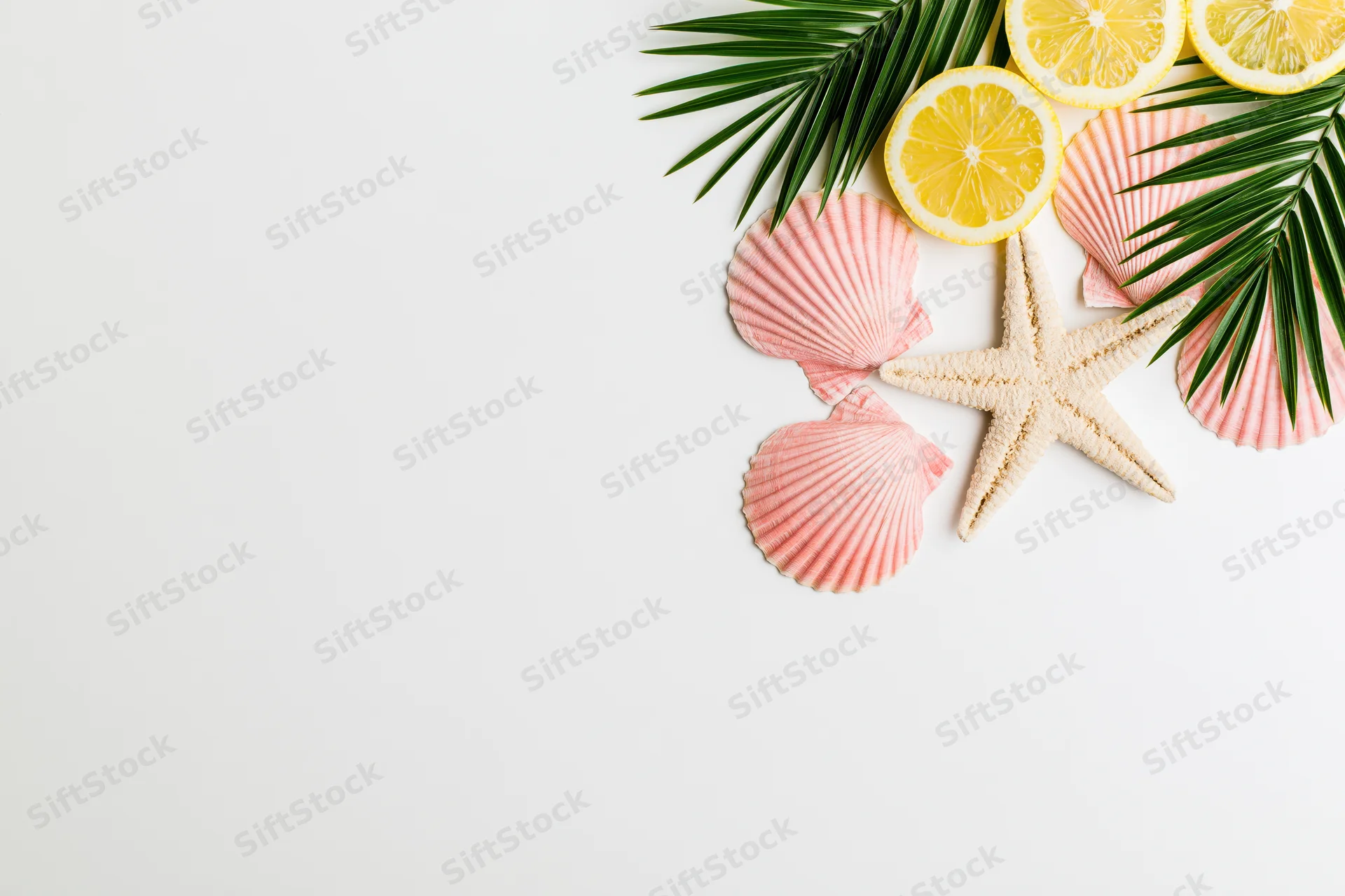 Starfish and pink scallop shells with lemon slices and palm leaves arranged on white surface