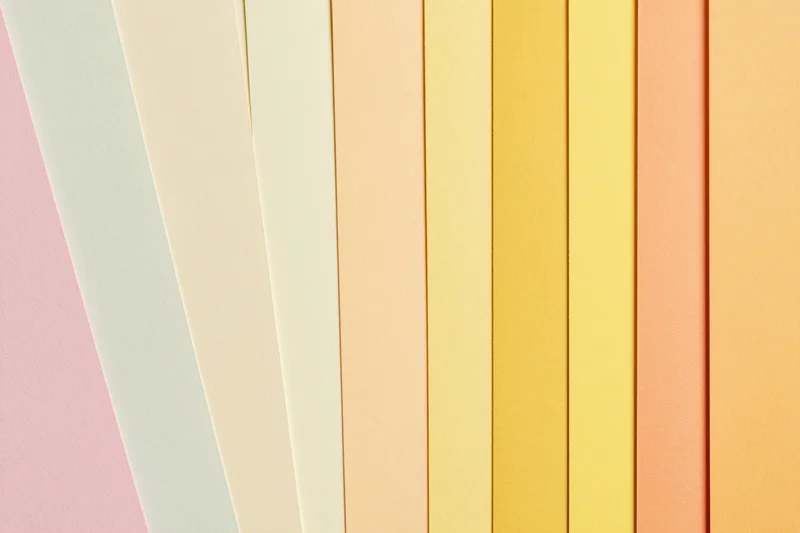 Fanned sheets of pastel colored paper arranged in a flat lay display