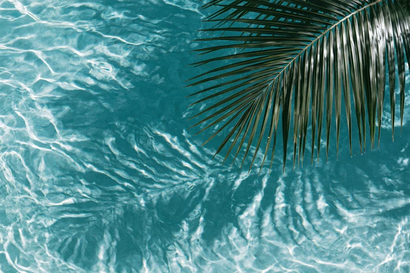 Palm frond hanging over clear turquoise swimming pool water with ripples and sunlight reflections