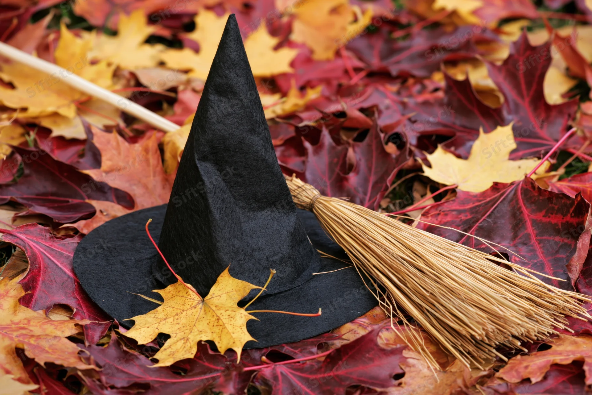 Black witch hat and small straw broom resting on a bed of colorful autumn leaves