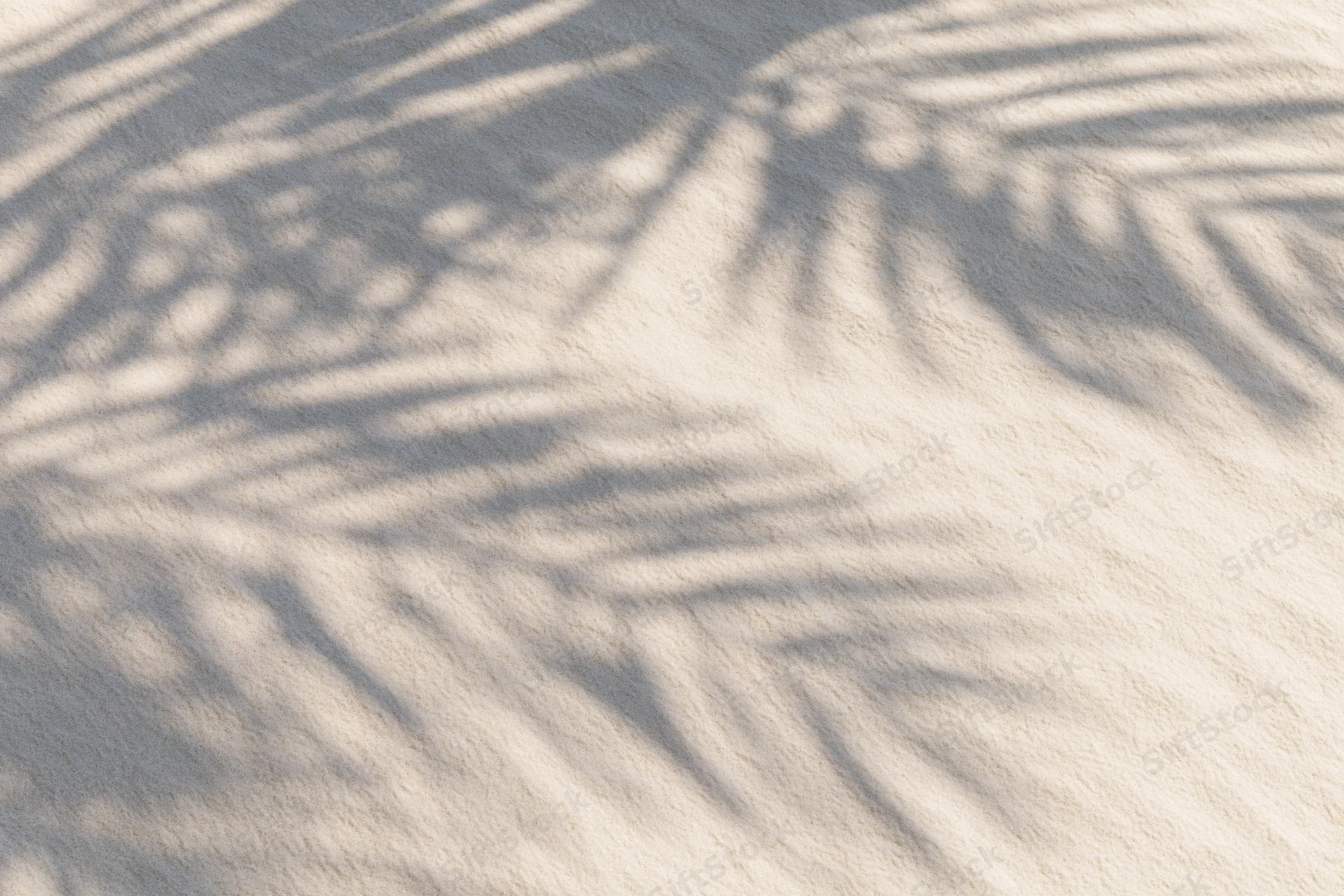 Soft shadow of palm fronds on fine beach sand