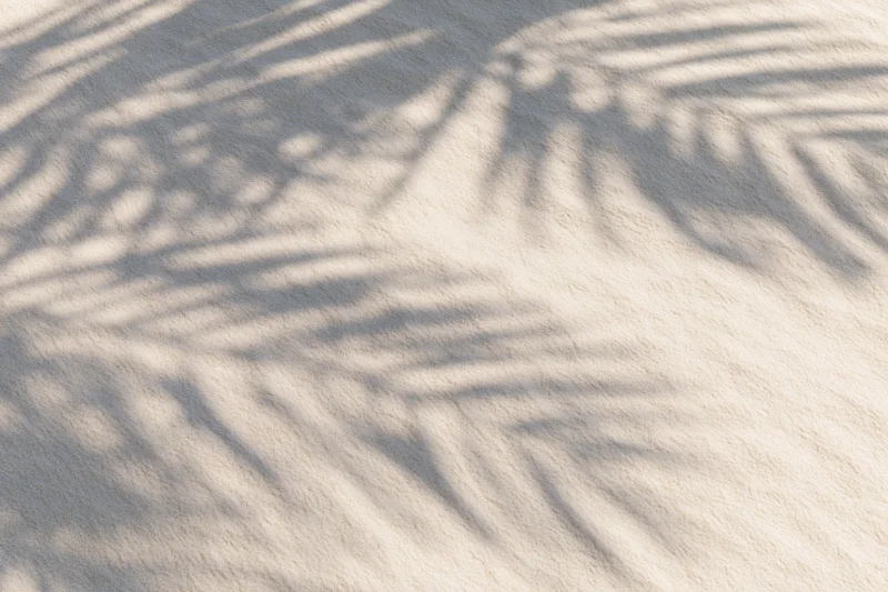 Soft shadow of palm fronds on fine beach sand
