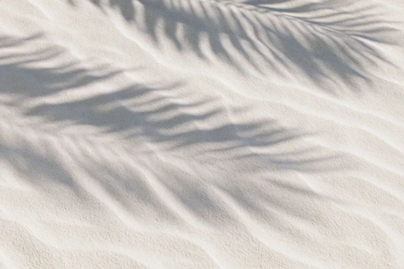 Soft shadow of palm fronds on fine beach sand
