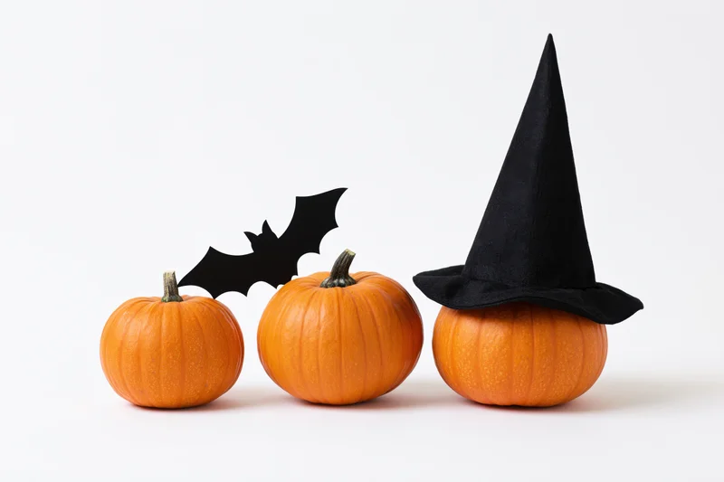 Three small orange pumpkins in a row, one wearing a witch hat and another with a bat cutout, on a white background