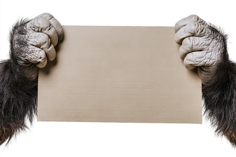 Gorilla hands gripping a blank cardboard sign against white background