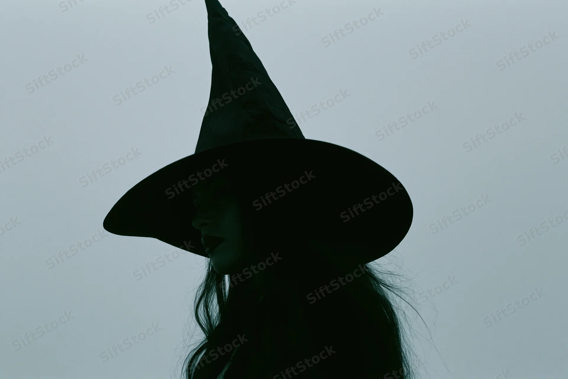 Silhouette of a woman in a pointed witch hat in profile against a gray sky