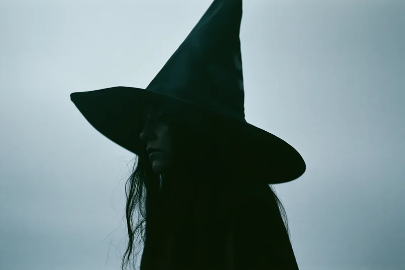 Woman in witch hat in profile silhouette against cloudy sky