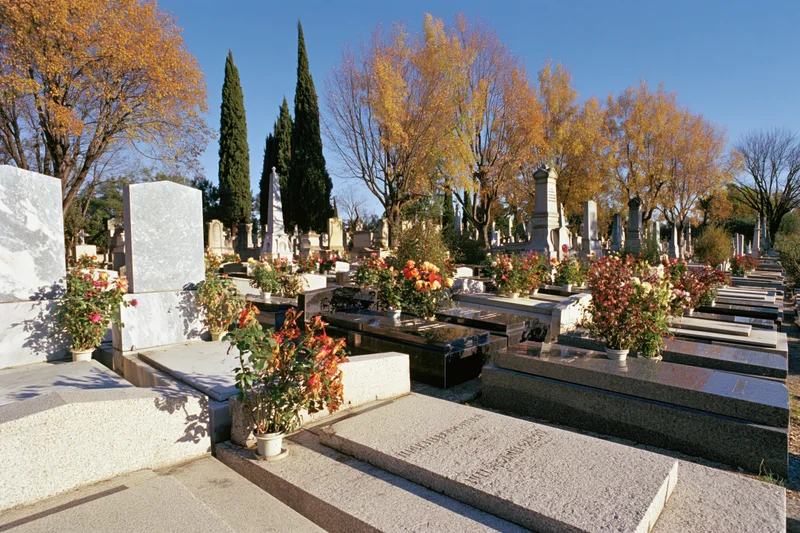 Rows of granite tombstones in a French municipal cemetery lined with autumn trees and potted flowers under a clear blue sky