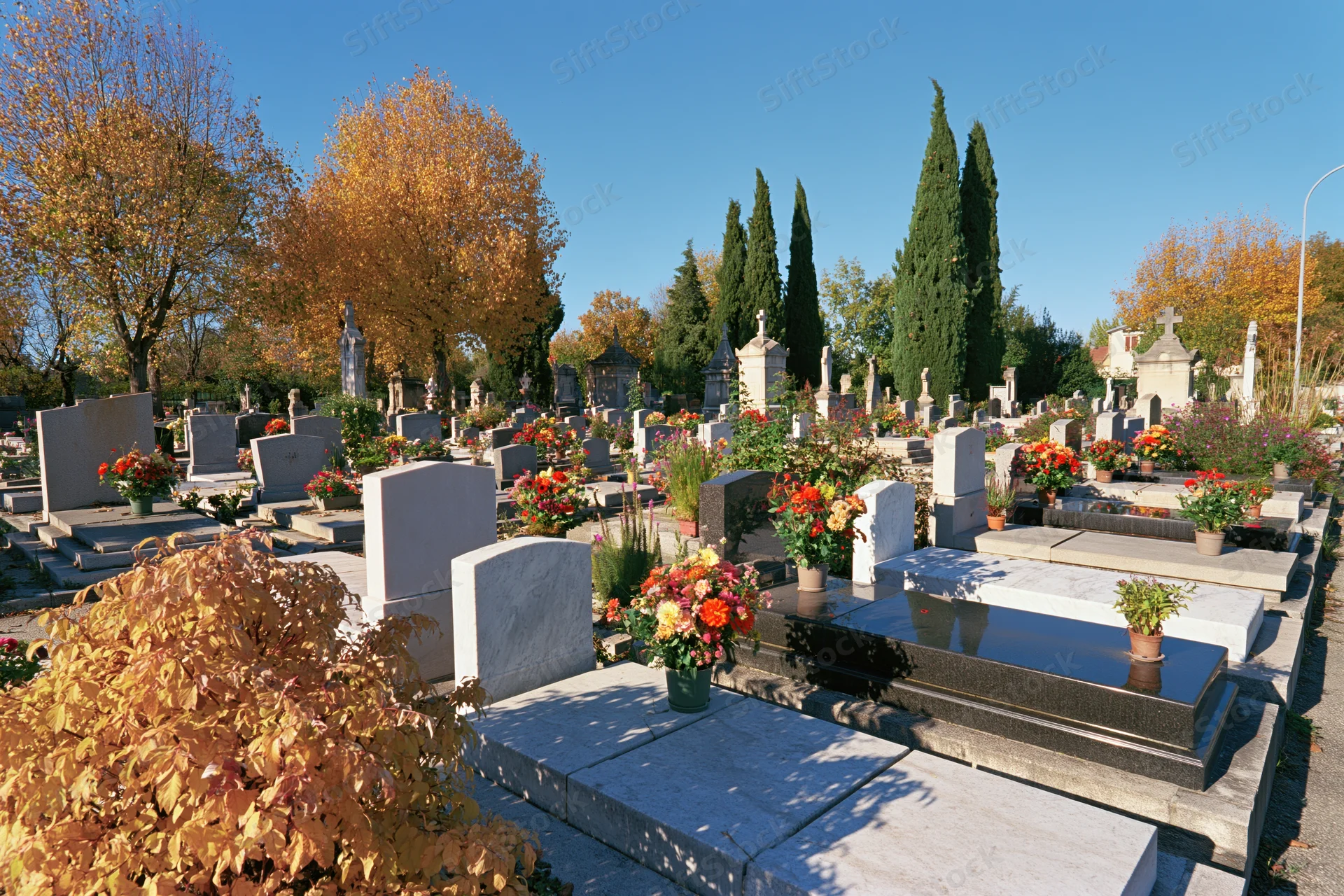 Rows of granite tombstones with floral arrangements in a french municipal cemetery during autumn under clear blue sky