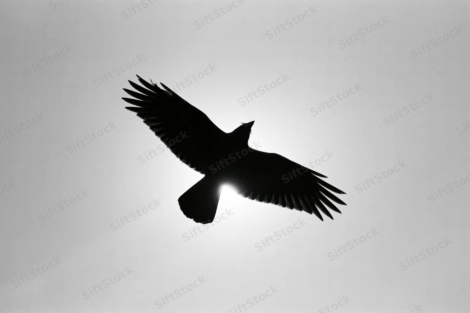 Crow in mid-flight silhouetted against bright overcast sky