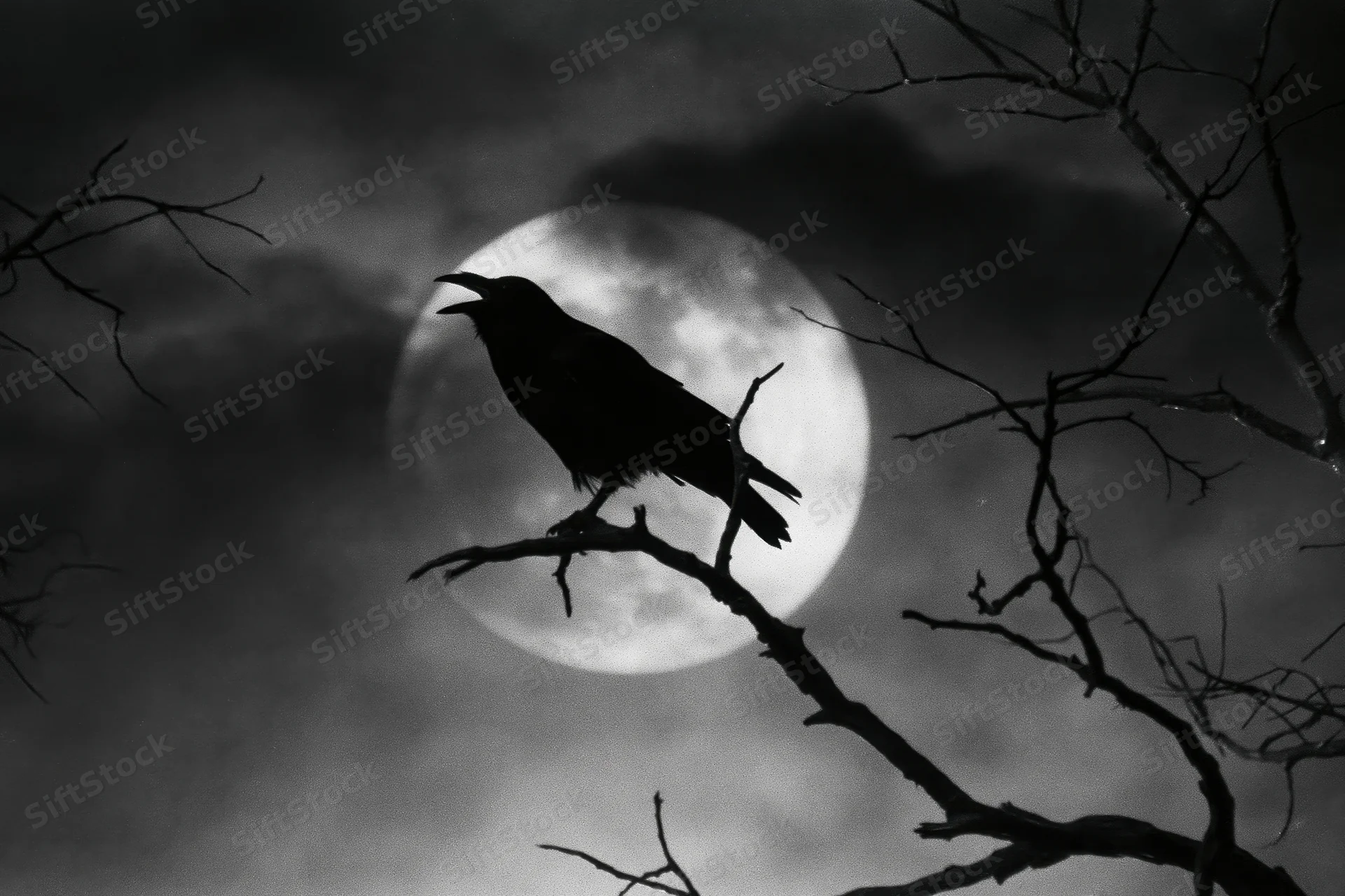 Crow perched on bare branch silhouetted against full moon at night