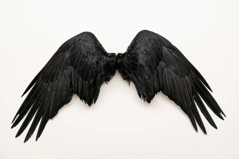 Pair of black bird wings spread symmetrically on white background