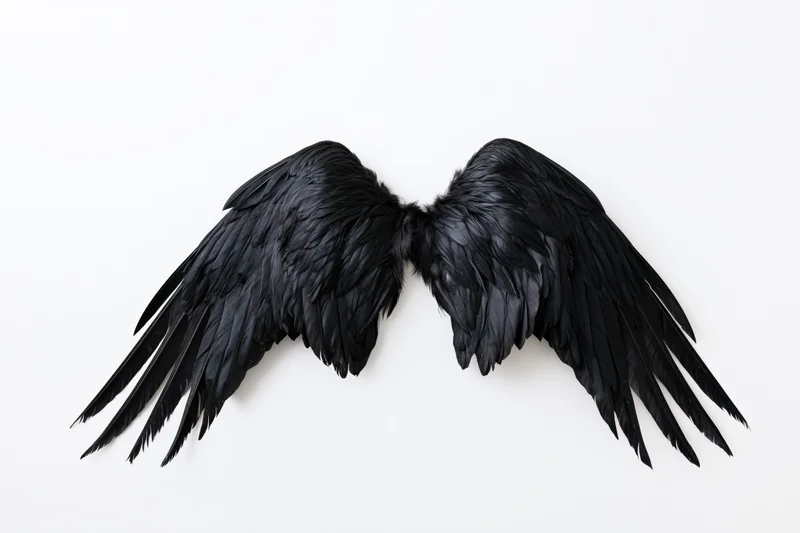 Pair of black bird wings spread symmetrically on white background