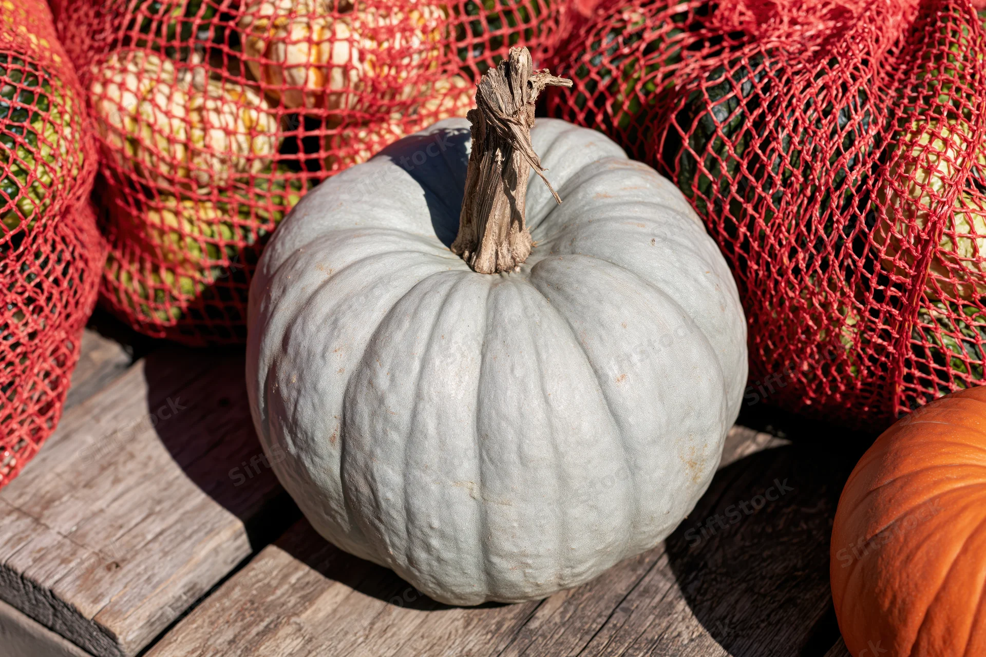 Pale blue-grey pumpkin resting on weathered wooden surface beside red mesh bags of garlic and onions