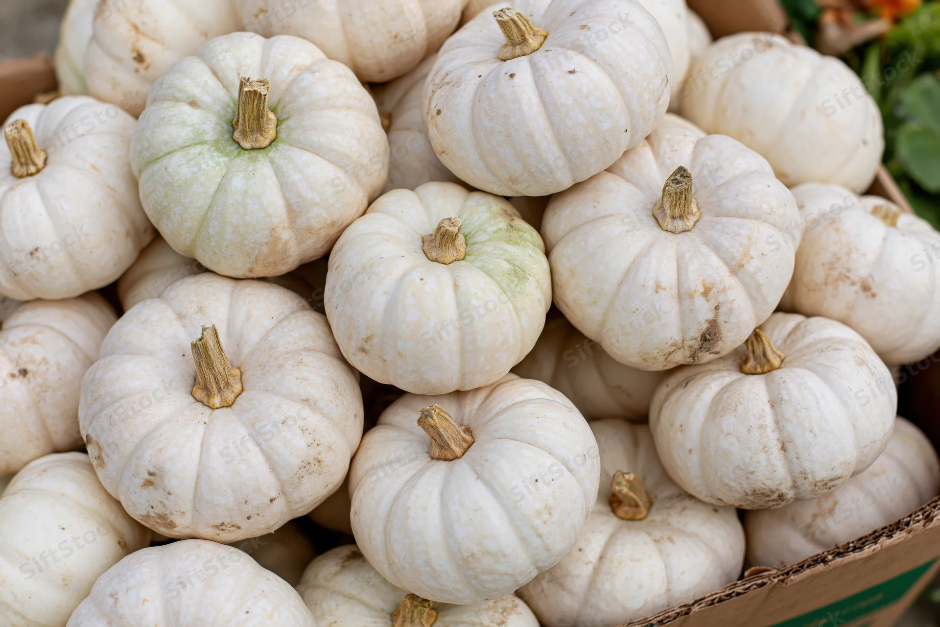 White ghost pumpkins heaped in a cardboard box