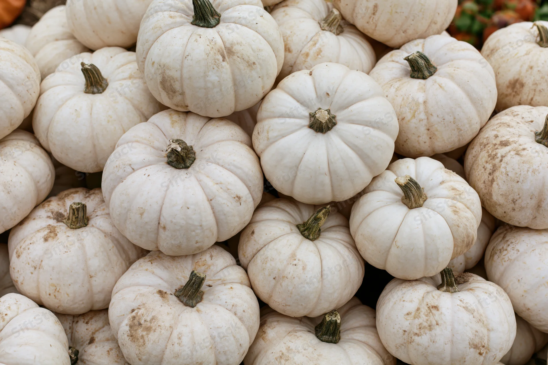 White pumpkins stacked in a pile filling the frame