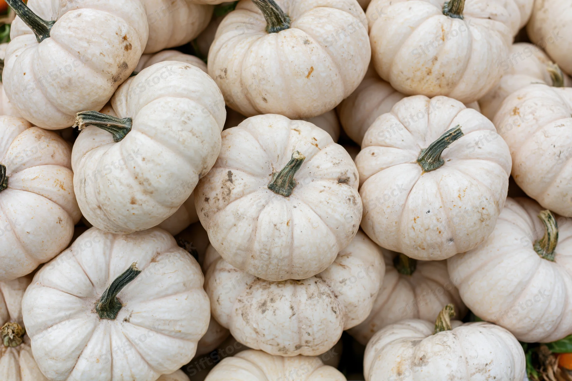 White pumpkins stacked in a pile filling the frame