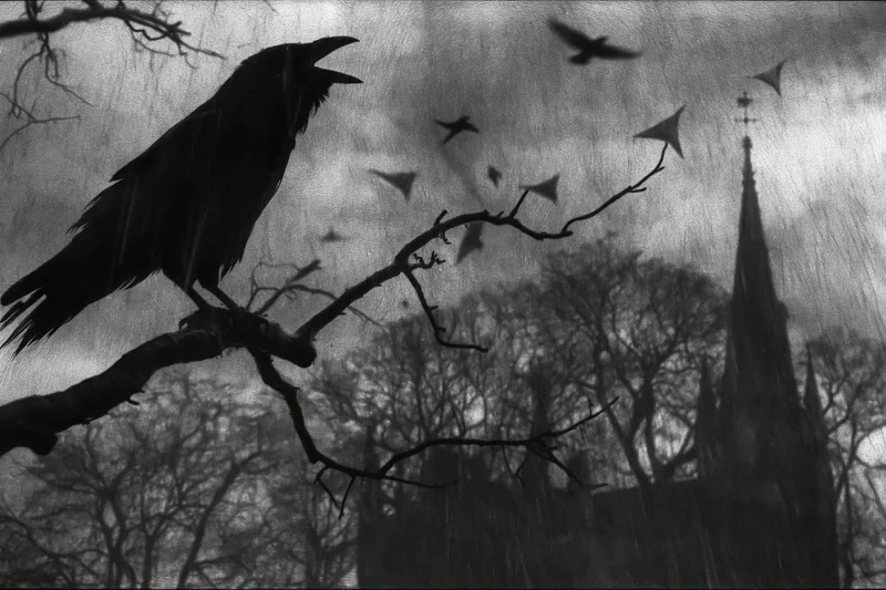 Raven perched on gnarled branch beak open mid-call with church spire in background under stormy sky