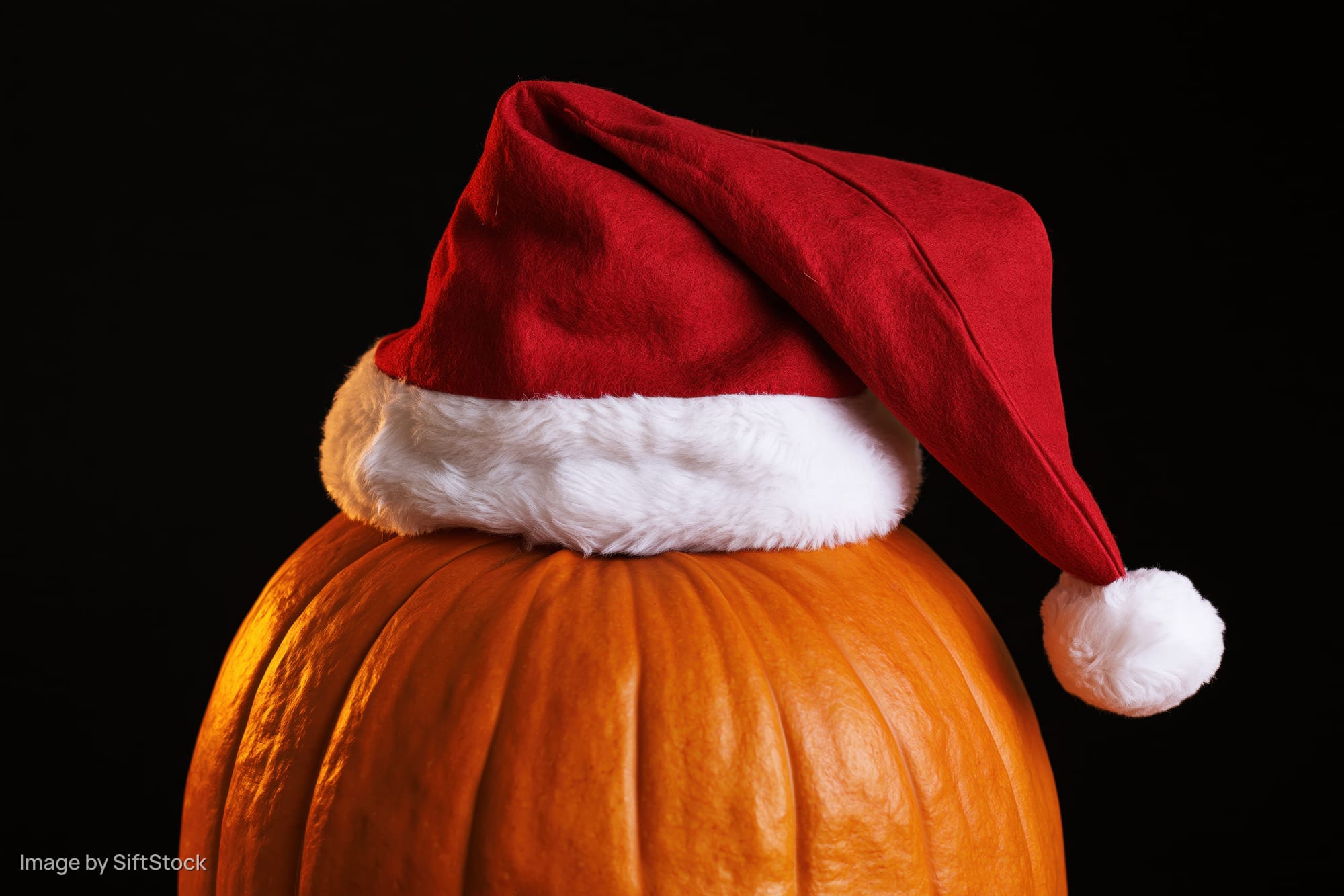 Pumpkin wearing a santa hat against a black background