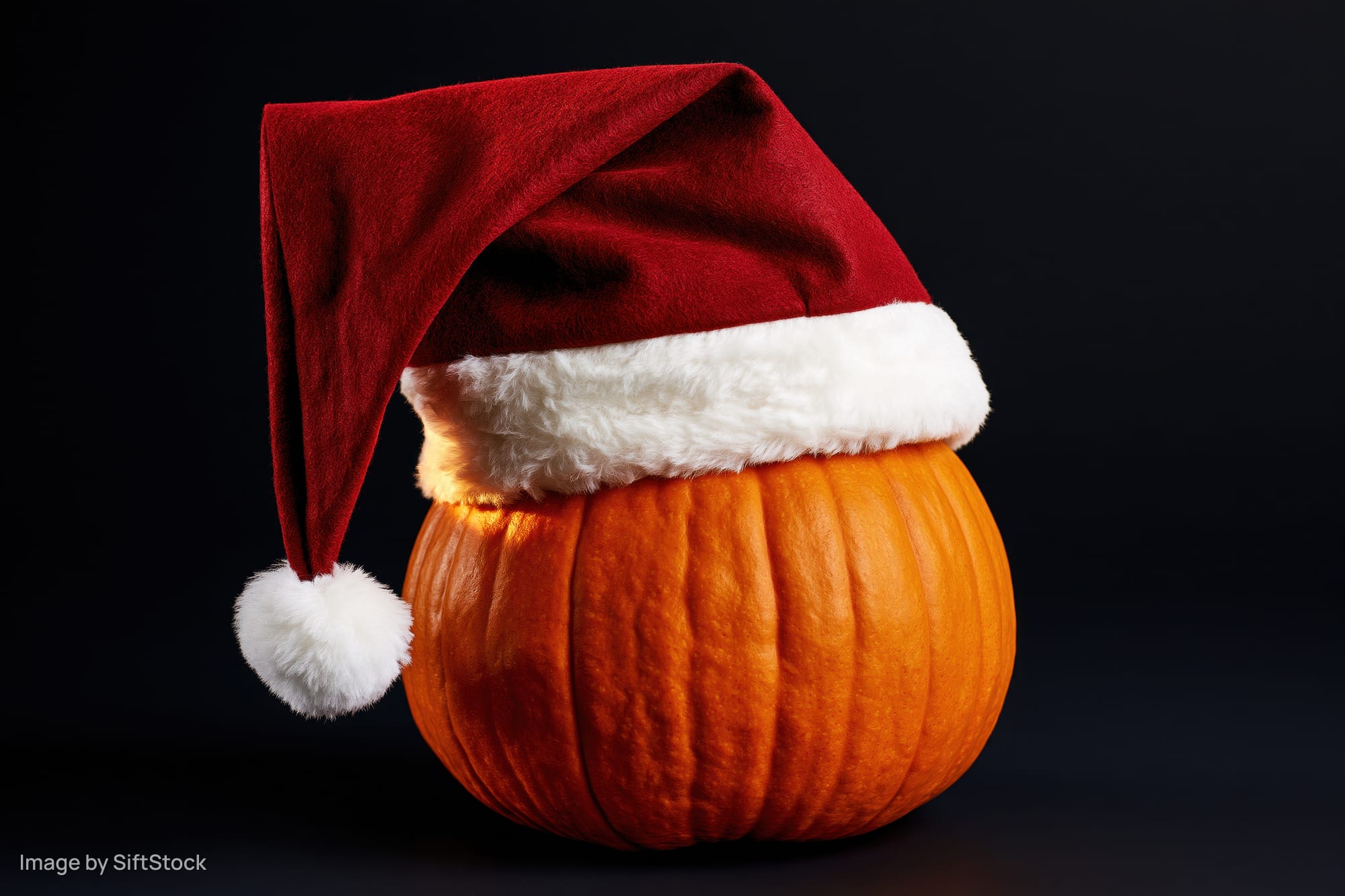 Pumpkin wearing a santa hat against a dark background