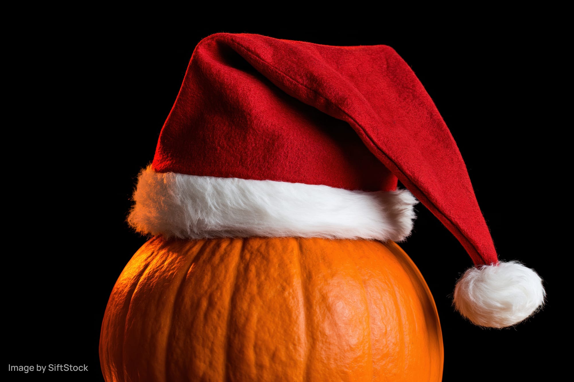 Pumpkin wearing a red santa hat against black background
