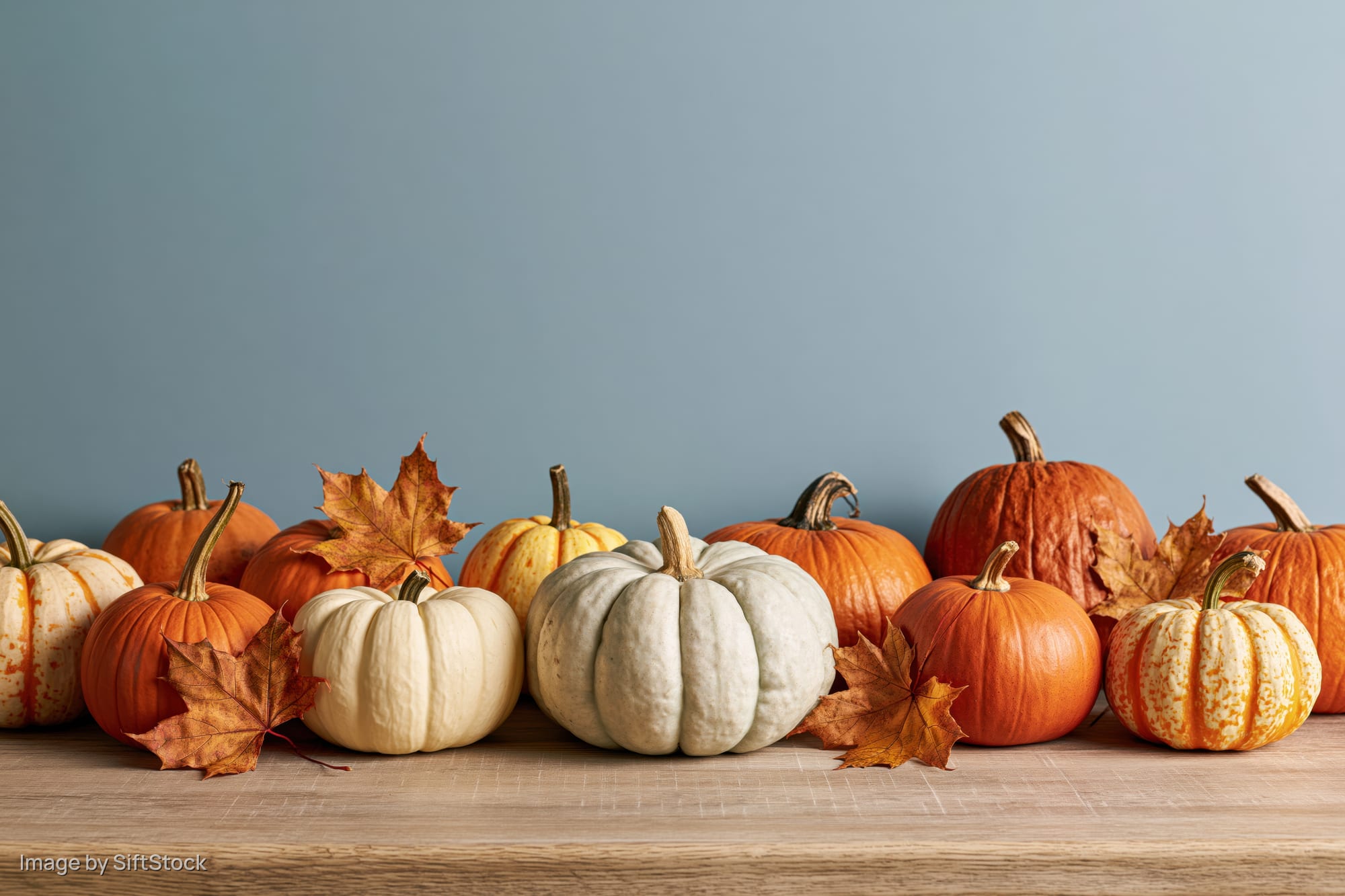 Assorted pumpkins and gourds arranged in a row on a wooden table with autumn leaves