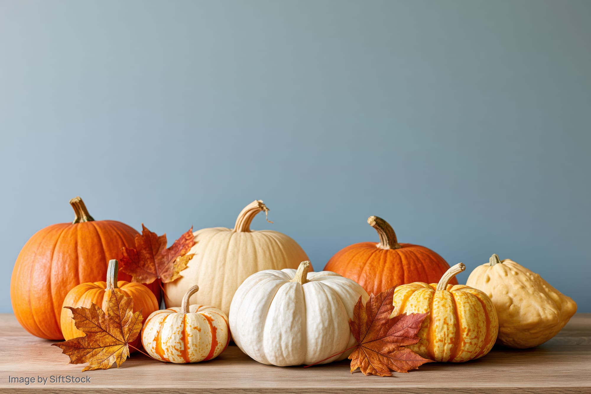 Assorted pumpkins and gourds arranged on a wooden table with autumn leaves