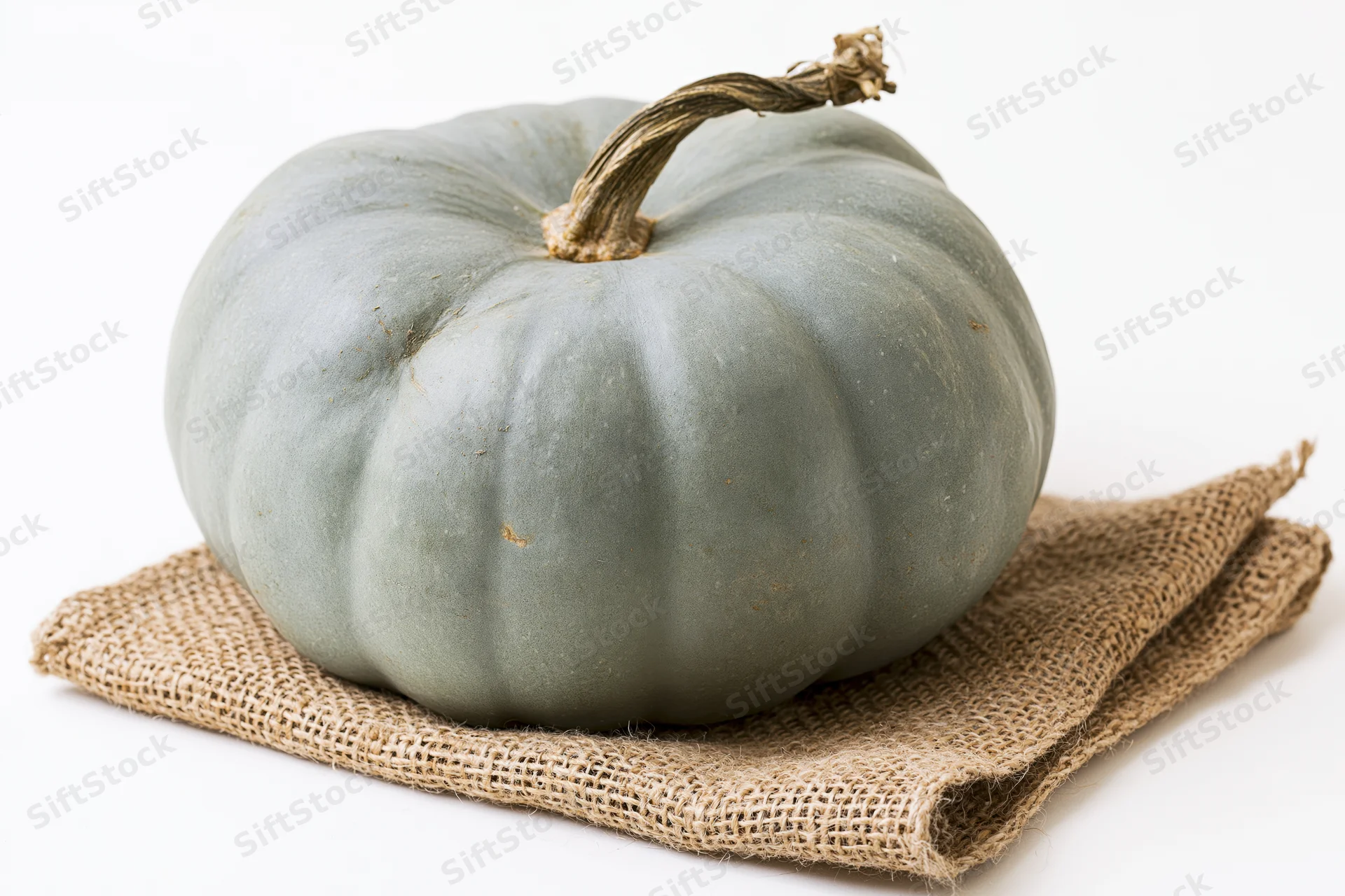 Blue-grey heirloom pumpkin resting on burlap cloth against white background