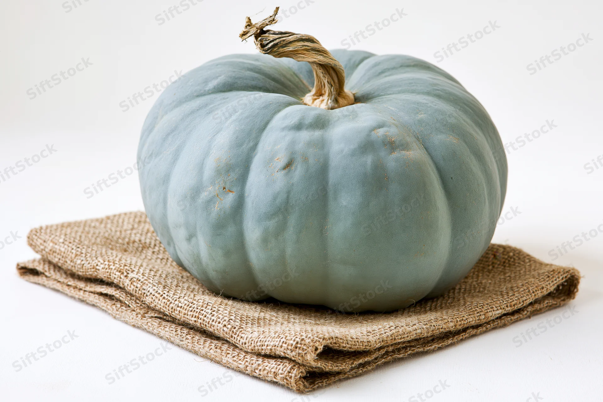 Blue-grey heirloom pumpkin resting on folded burlap fabric against white background