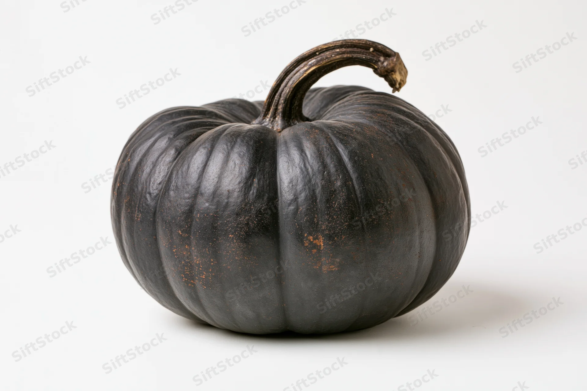 Dark charcoal-black ribbed pumpkin on white background with soft shadow