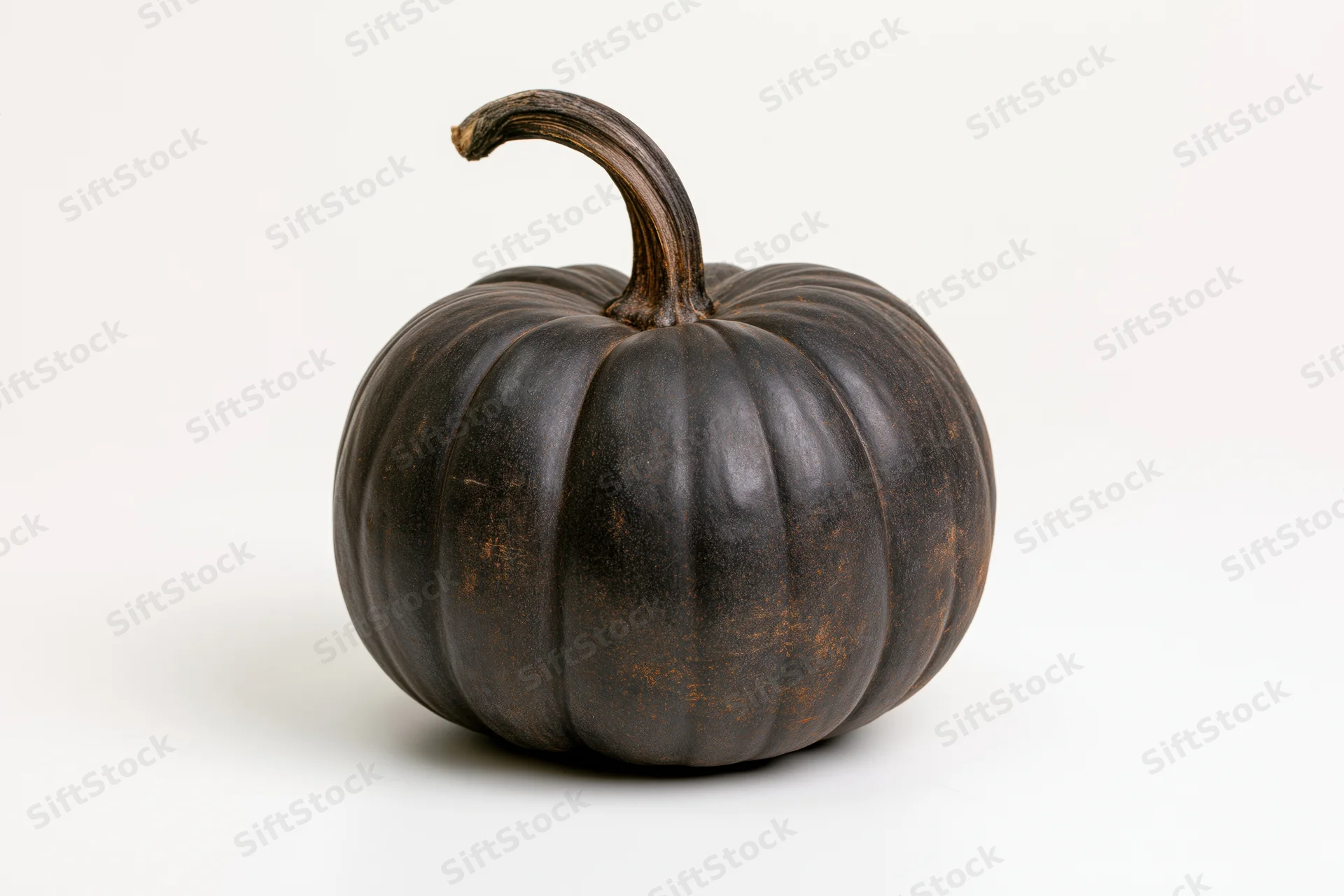 Dark charcoal-black pumpkin with ribbed texture and curved stem on white background