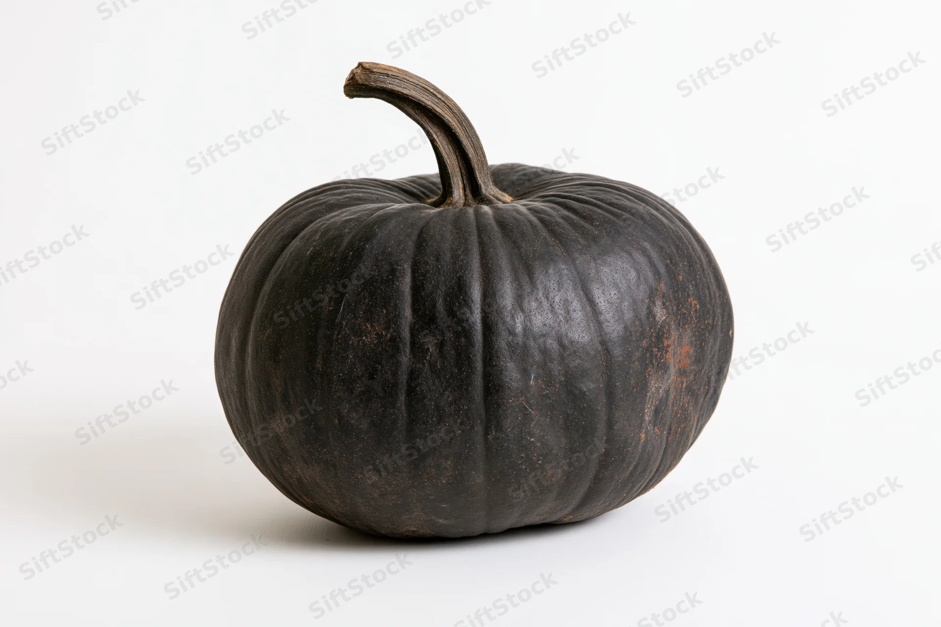 Dark charcoal-black ribbed pumpkin on white background