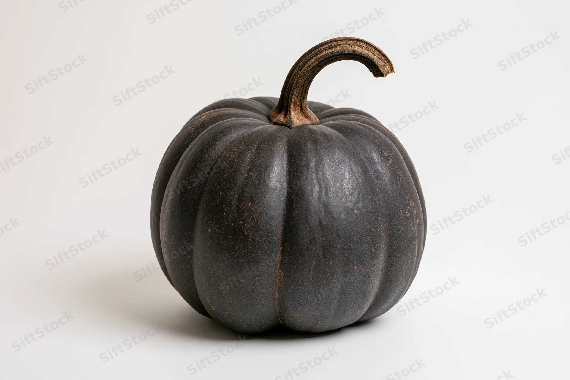 Dark charcoal-black pumpkin with ribbed texture and curved stem on white background