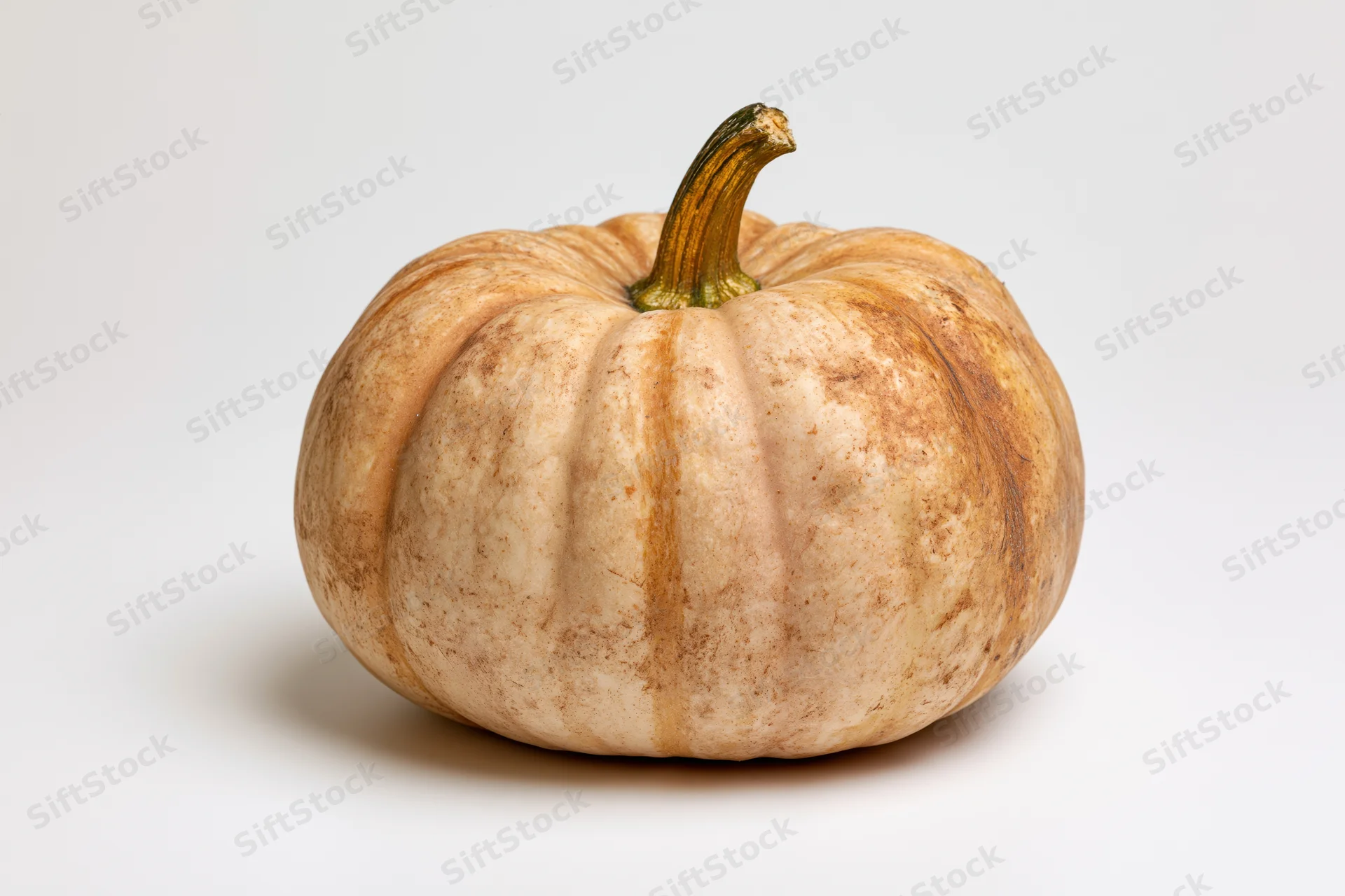 A flat pumpkin with mottled tan and russet skin and deep ribs on a white background