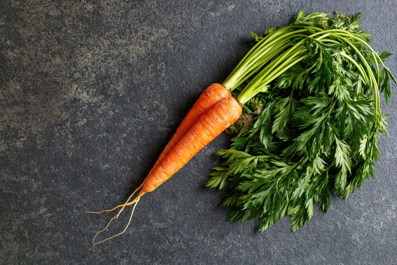 Fresh carrot with green tops lying on dark stone surface
