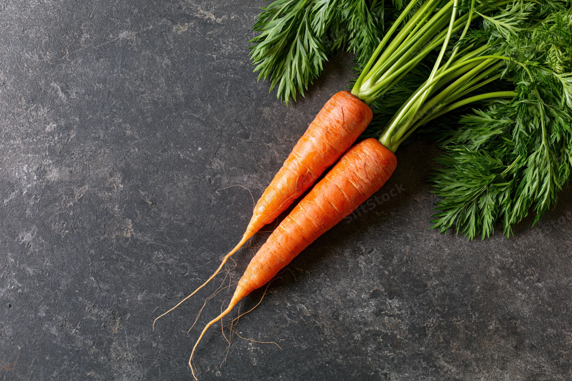 Two fresh carrots with green tops lying on a dark stone surface