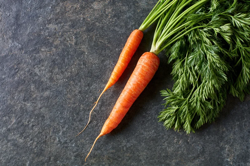 Two fresh carrots with green tops arranged on a dark stone surface