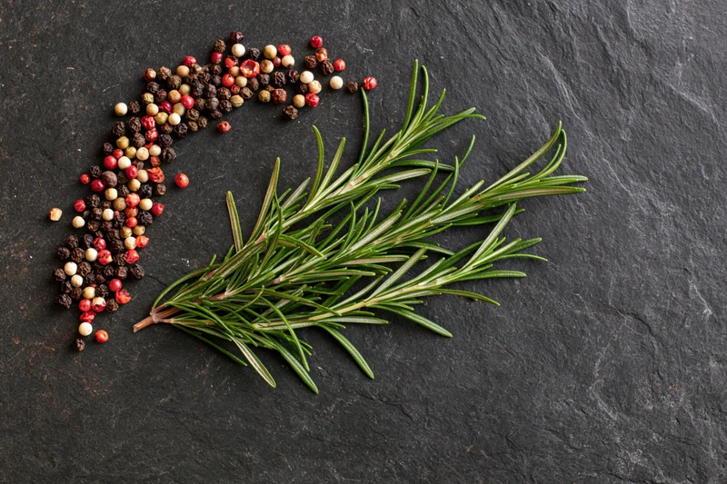 Fresh rosemary sprig with mixed peppercorns arranged on dark slate stone surface