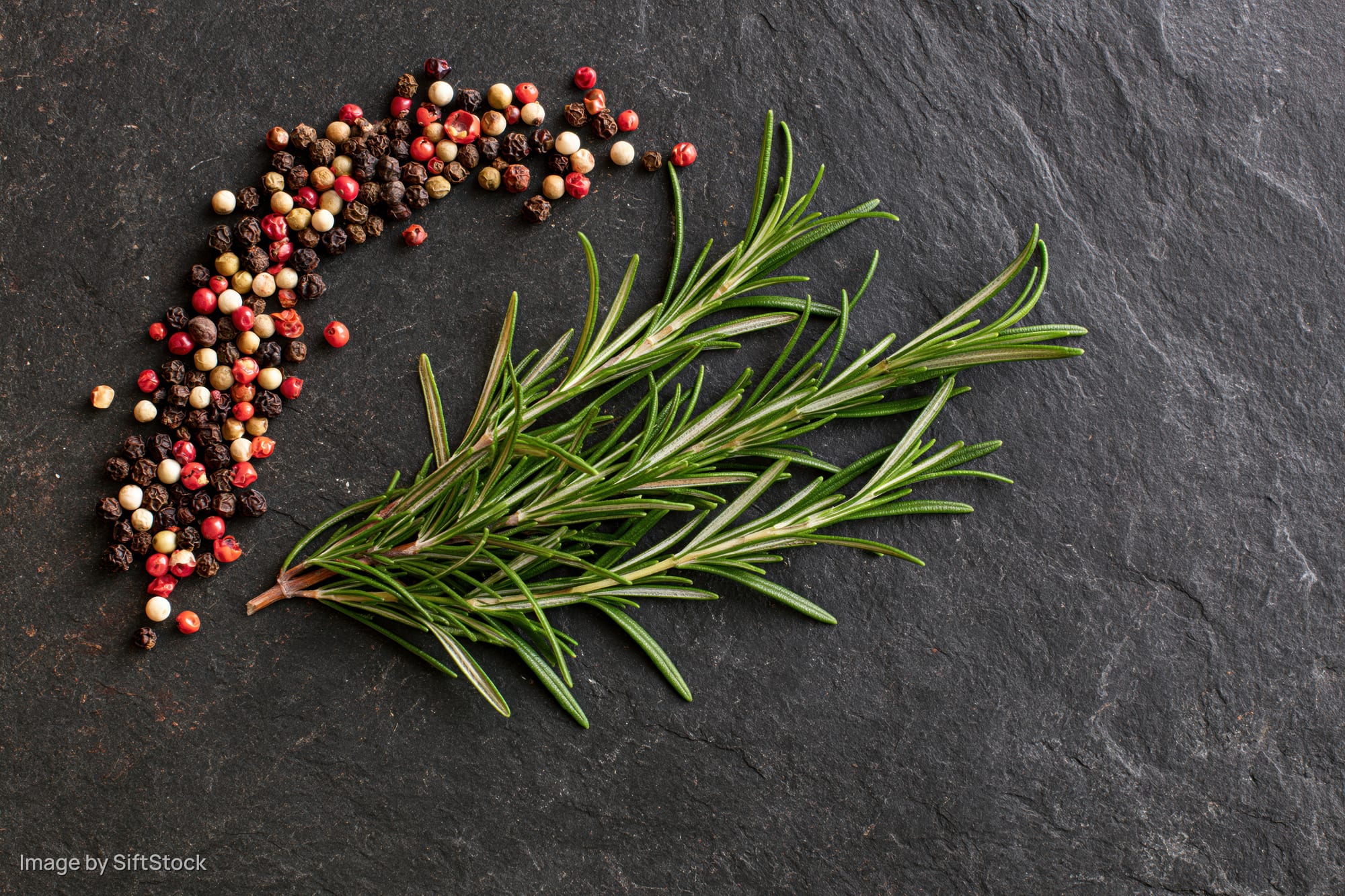 Fresh rosemary sprig with mixed peppercorns arranged on dark slate stone surface