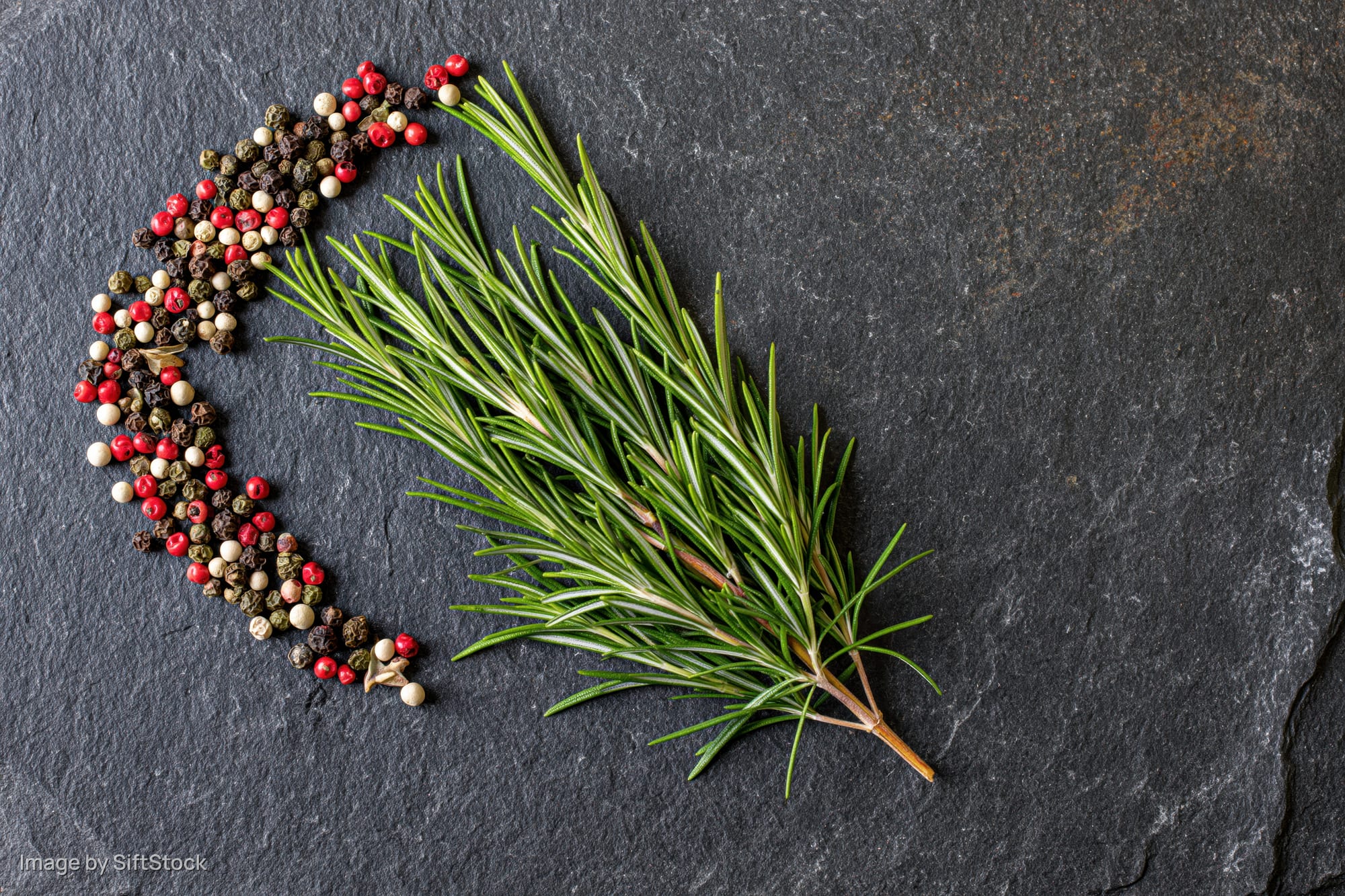 Fresh rosemary sprig and mixed peppercorns arranged on dark slate stone surface