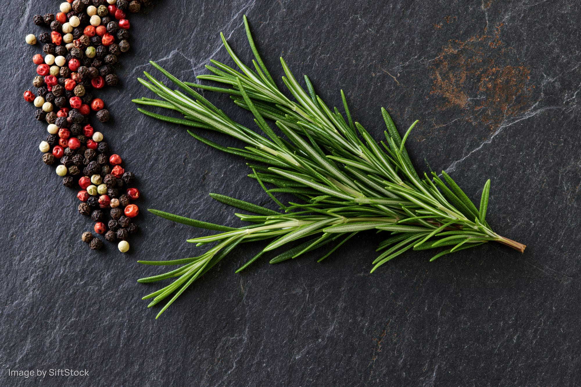 Fresh rosemary sprig and mixed peppercorns arranged on dark slate surface