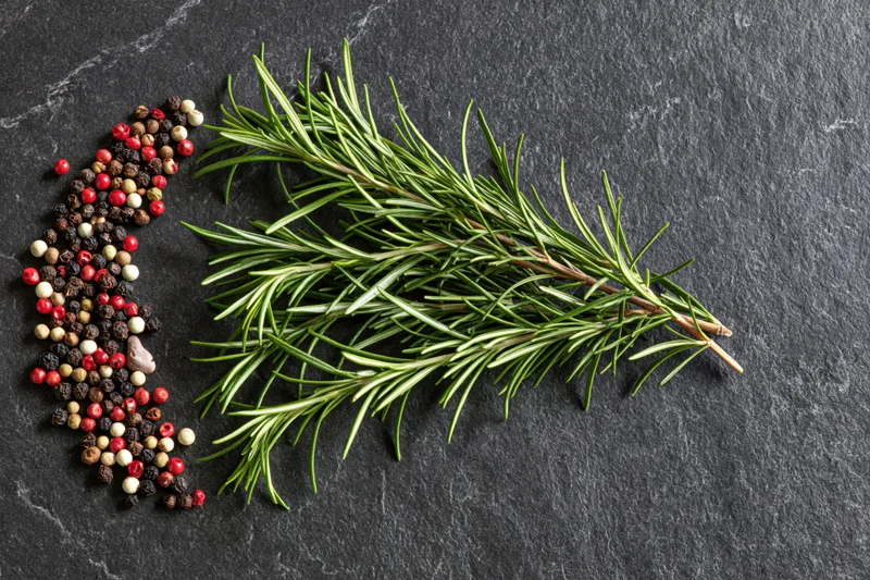 Fresh rosemary sprig and mixed peppercorns arranged on dark slate stone surface