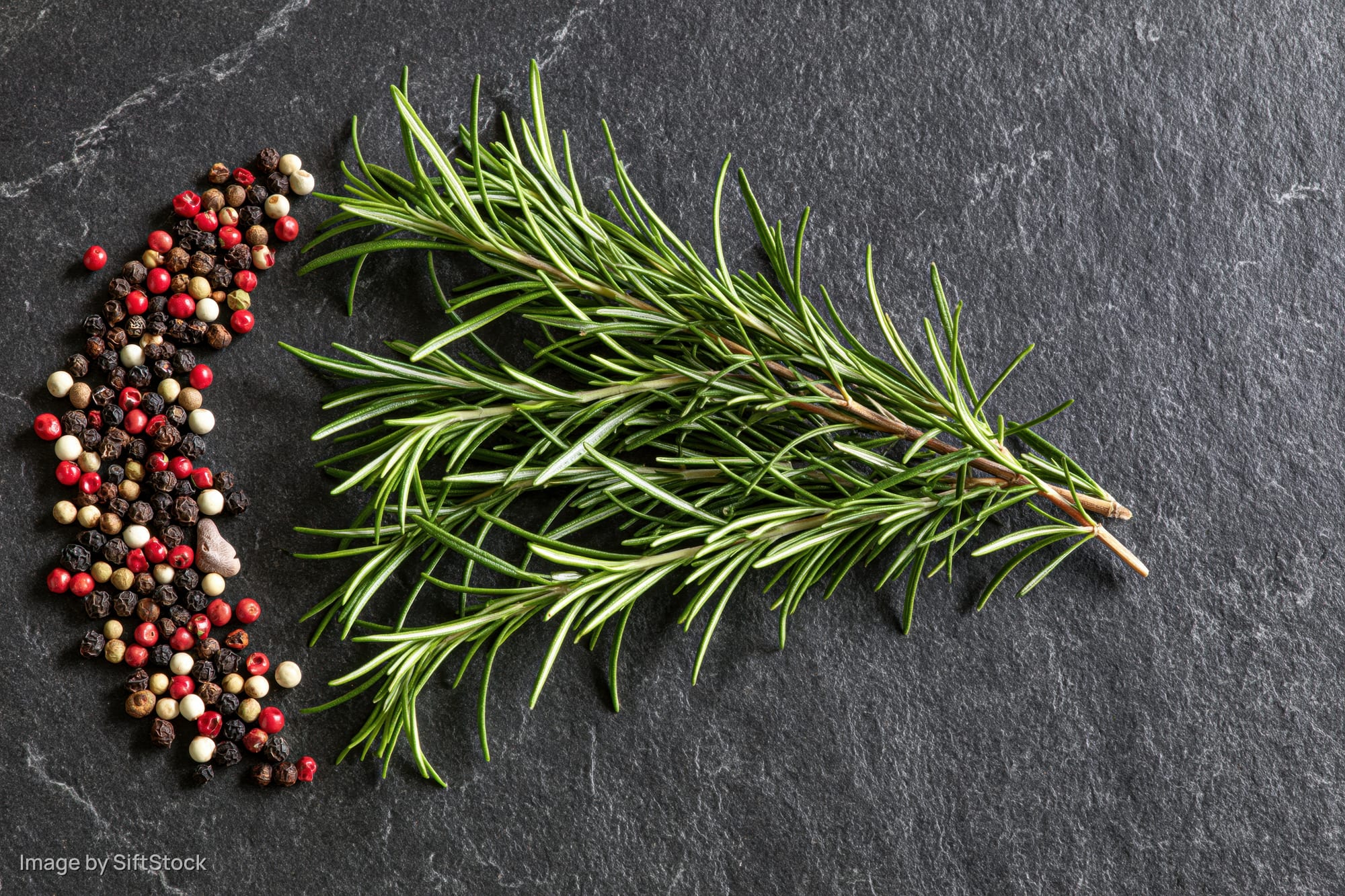 Fresh rosemary sprig and mixed peppercorns arranged on dark slate stone surface