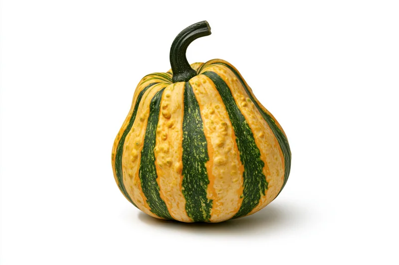 Ornamental gourd with green and yellow stripes sitting upright on a white background