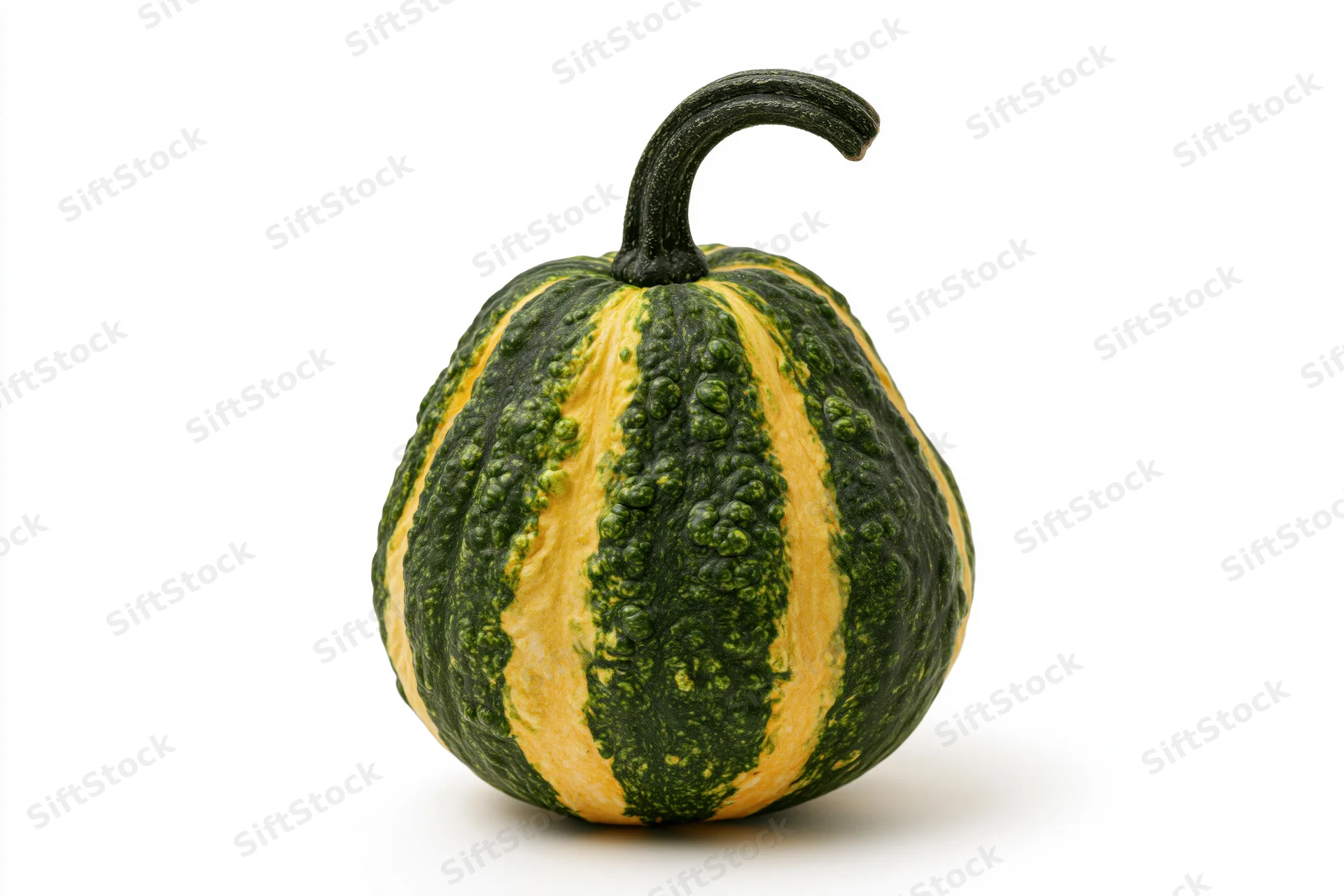 Ornamental gourd with green and yellow stripes and curved stem sitting upright on white background
